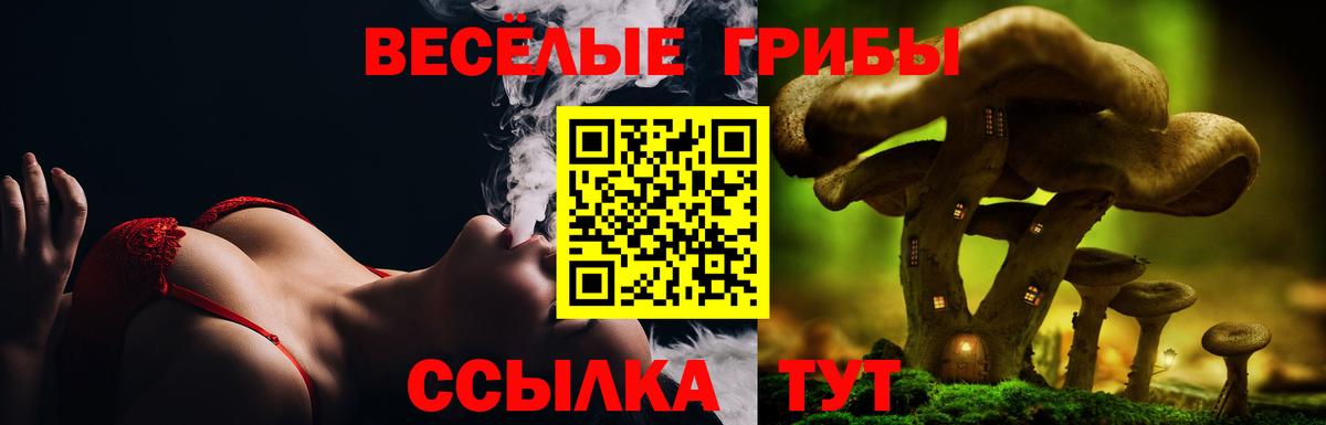 Галлюциногенные грибы GOLDEN TEACHER  Вход с VPN  Кулебаки 